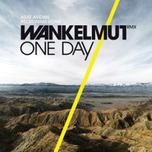 Reckoning Song – Asaf Avidian im Wankelmut Remix
